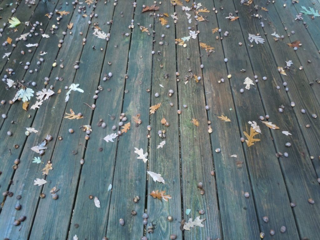 A deck covered in leaves and acorns