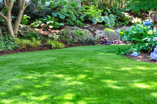 10 great landscaping ideas